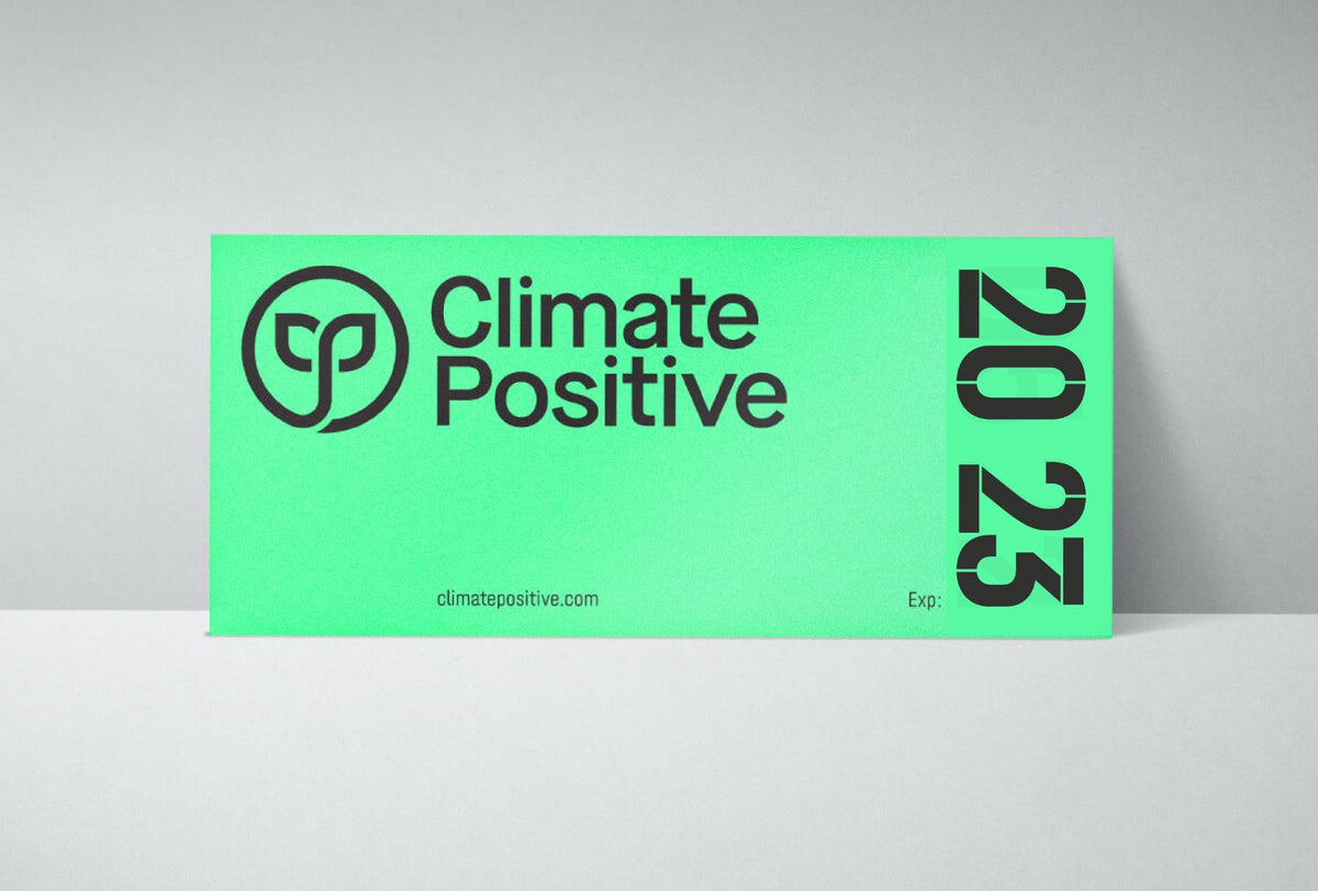 Electric Car Badge