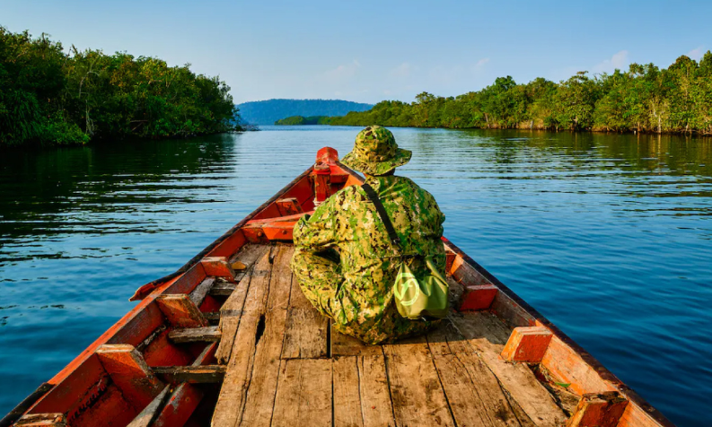 Southern Cardamom REDD+ Project