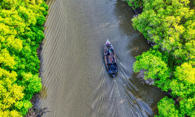 Rimba Raya Biodiversity Reserve
